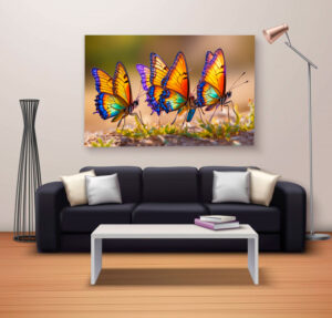 Mariposas Tropicales en su Hábitat Natural