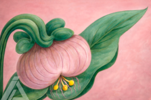 Flor Rosa Minimalista