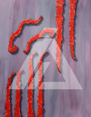 Líneas rojas verticales ma