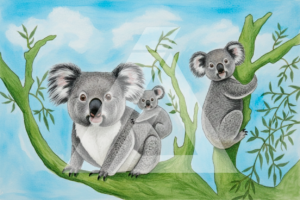 Koalas ma